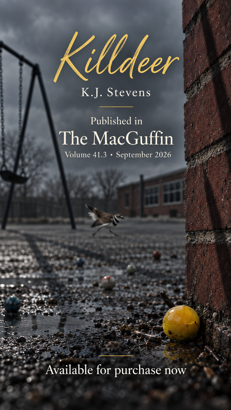 Killdeer published in The MacGuffin, 41.3