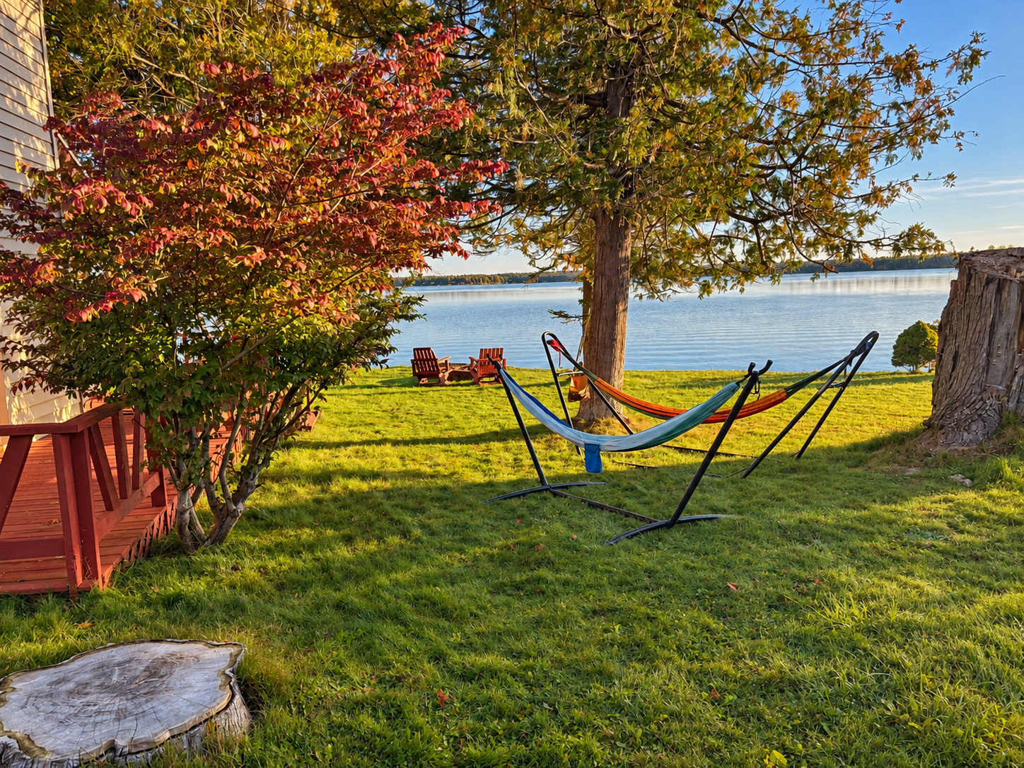 last lake morning